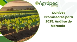 Cultivos Promissores para 2025: Análise de Mercado