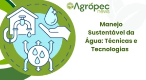 Manejo Sustentável da Água: Técnicas e Tecnologias para um Futuro Consciente