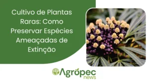 Cultivo de Plantas Raras: Como Preservar Espécies Ameaçadas de Extinção