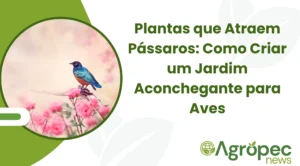 Plantas que Atraem Pássaros: Como Criar um Jardim Aconchegante para Aves