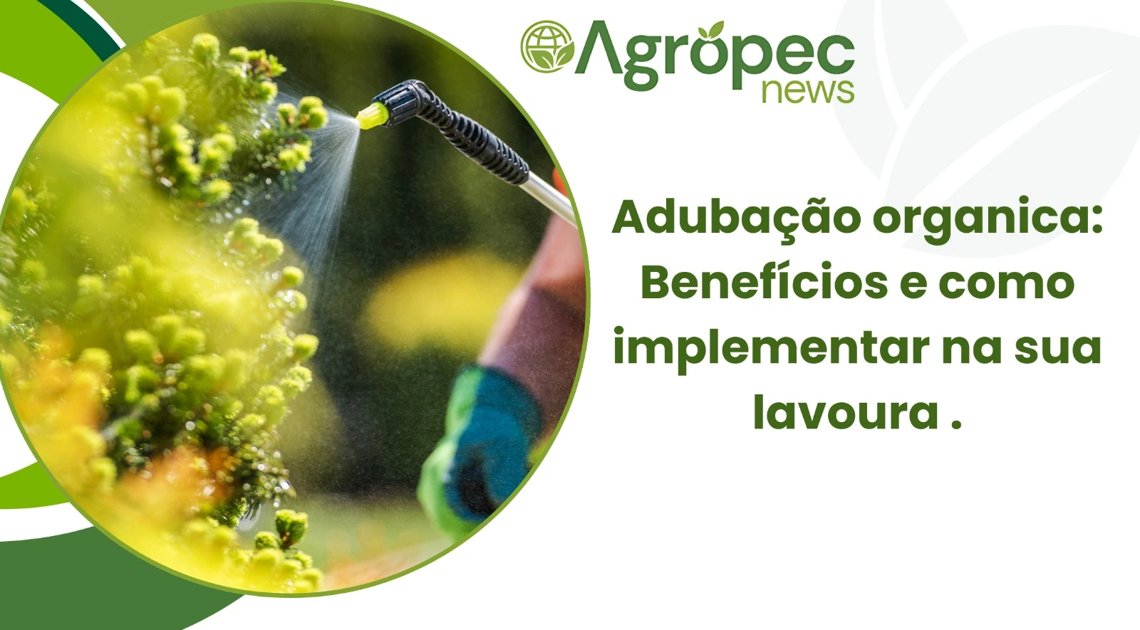 Adubação Orgânica: Benefícios e como Implementar.