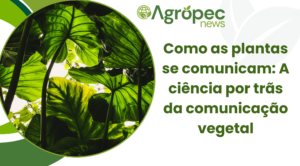 Como as Plantas se Comunicam: A Ciência por Trás da Comunicação Vegetal