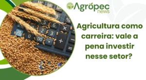 Agricultura como carreira: vale a pena investir nesse setor?
