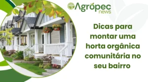 Dicas para montar uma horta orgânica comunitária no seu bairro
