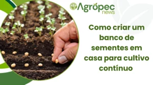 Como criar um banco de sementes em casa para cultivo contínuo