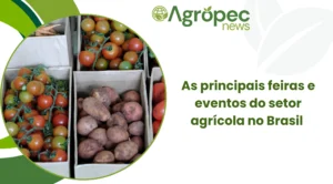 As principais feiras e eventos do setor agrícola no Brasil