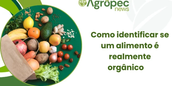 Como identificar se um alimento é realmente orgânico