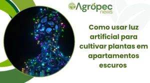 Como Usar Luz Artificial para Cultivar Plantas em Apartamentos Escuros