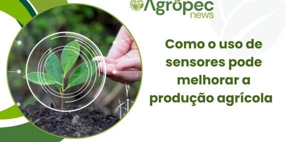Como o Uso de Sensores Pode Melhorar a Produção Agrícola