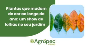 Plantas que mudam de cor ao longo do ano: um show de folhas no seu jardim
