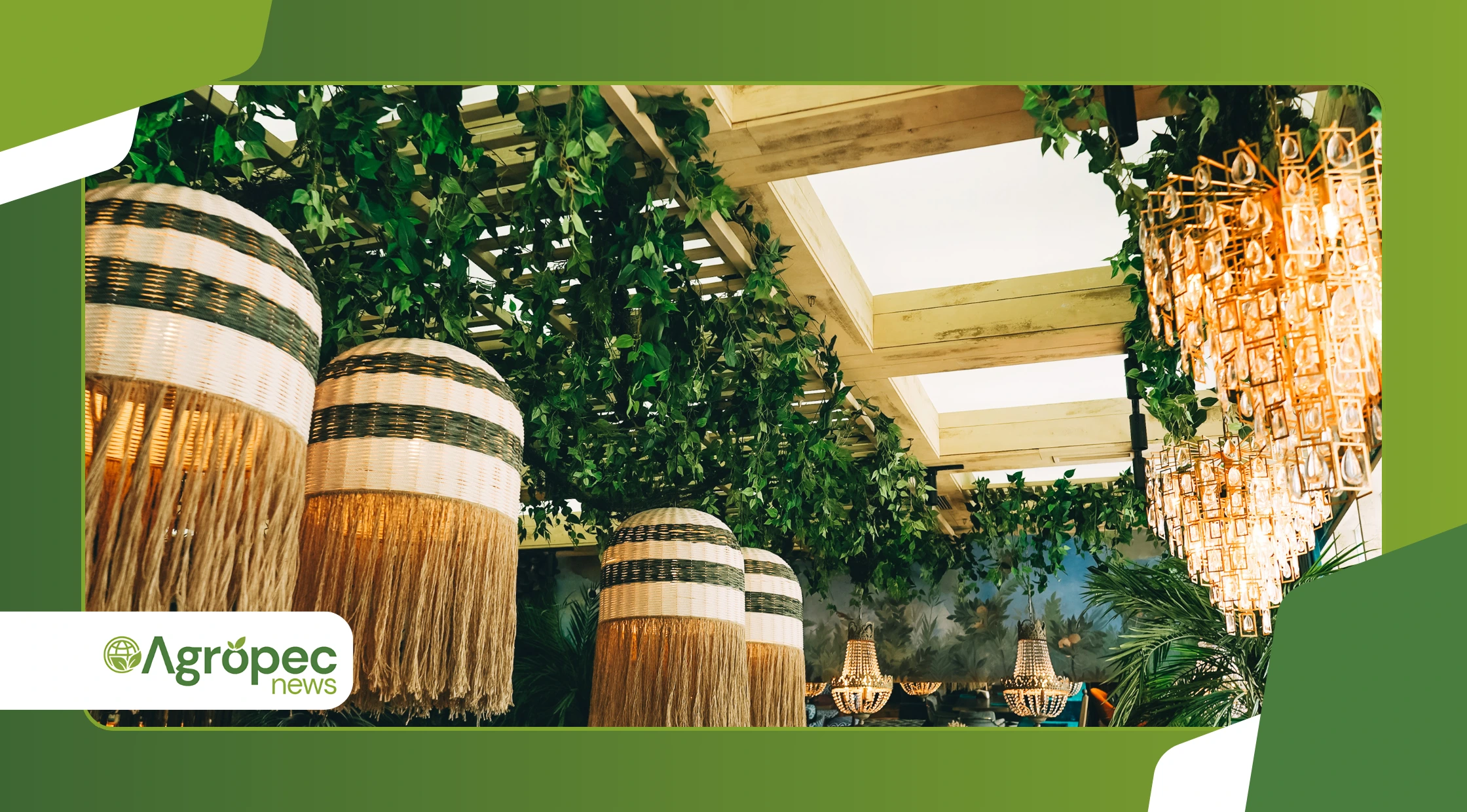 diferença entre plantas de sombra, meia-sombra e sol pleno