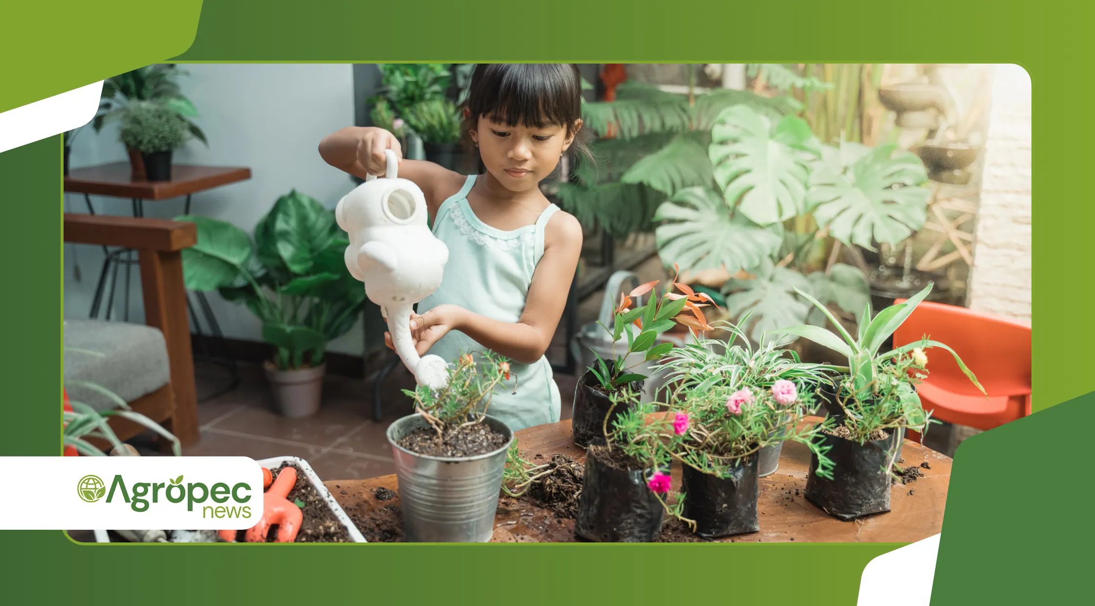 evitar que o vaso fique com cheiro ruim após regas frequentes