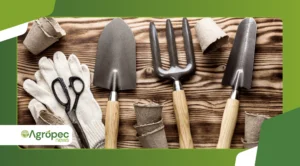 Quais ferramentas básicas você precisa para montar uma horta doméstica
