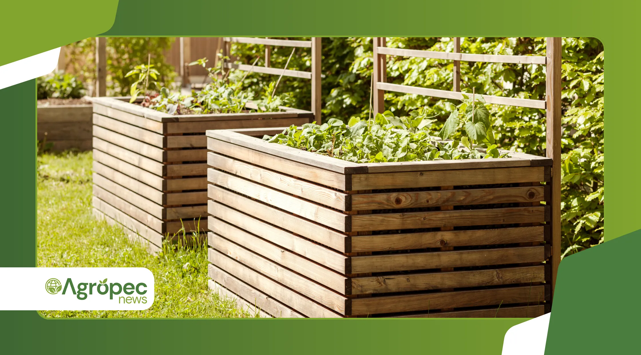 Montar uma horta em canteiro elevado