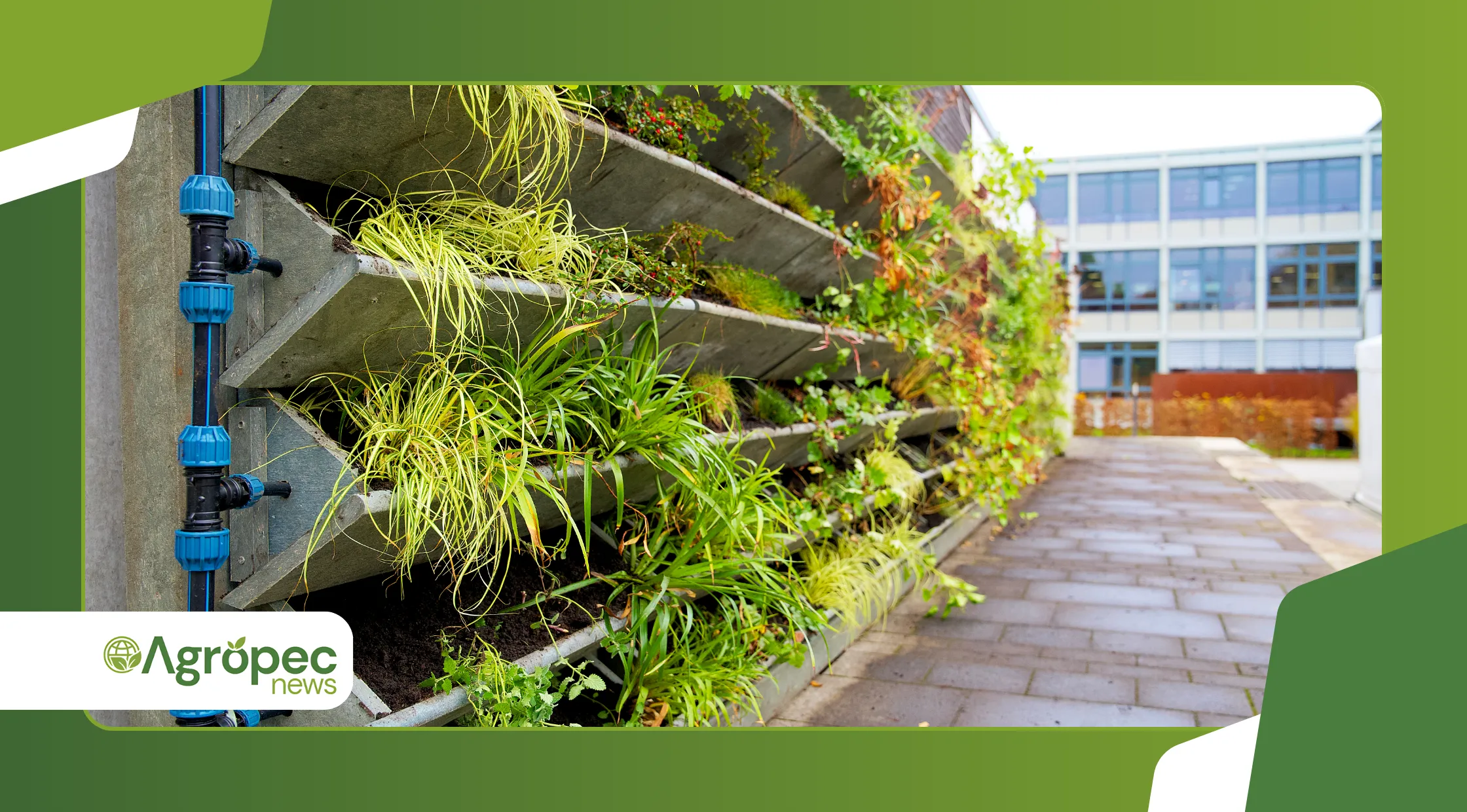 Montar uma horta em canteiro elevado