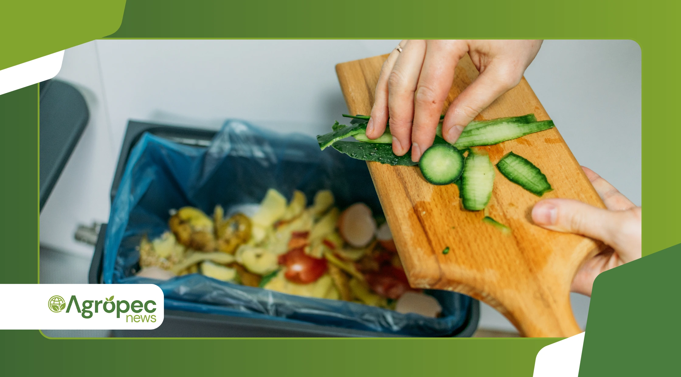 Produção orgânica com resíduos da cozinha
