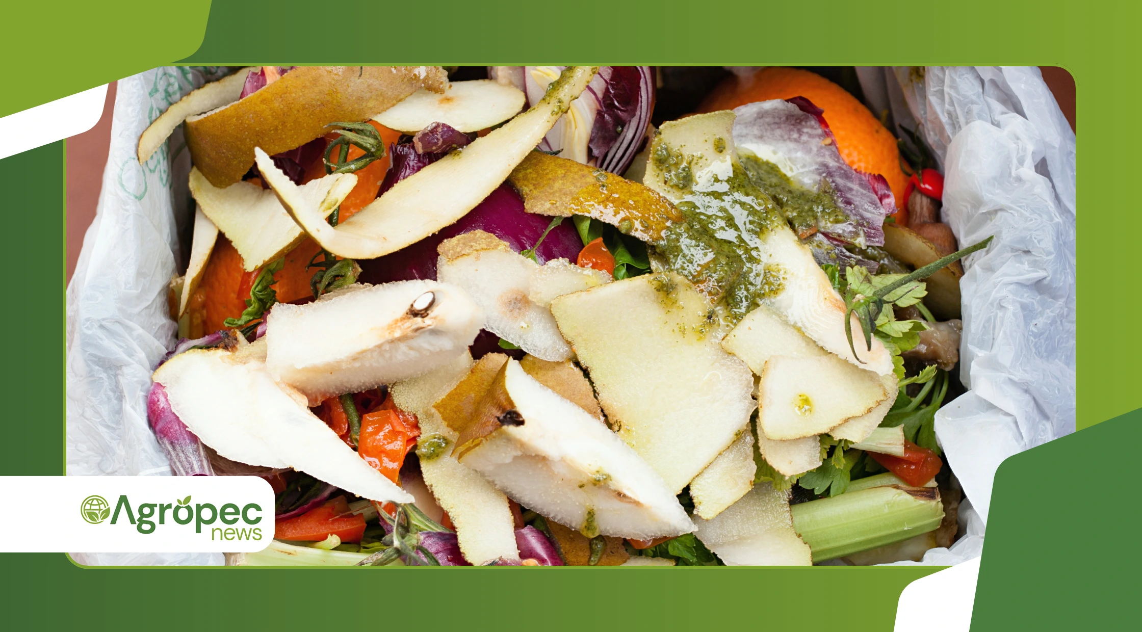 Produção orgânica com resíduos da cozinha