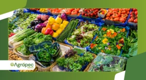 O futuro do marketing digital para agricultura orgânica: estratégias para presença online e engajamento