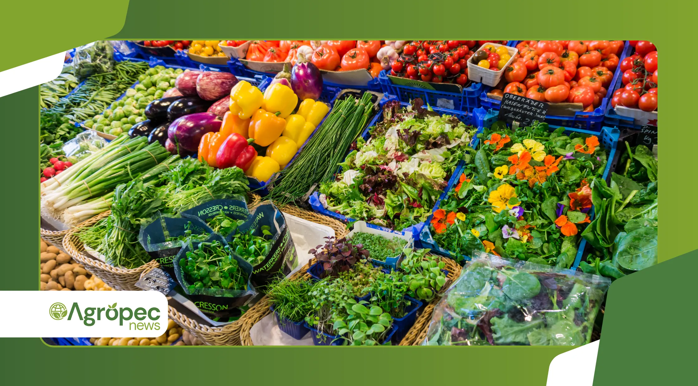 O futuro do marketing digital para agricultura orgânica
