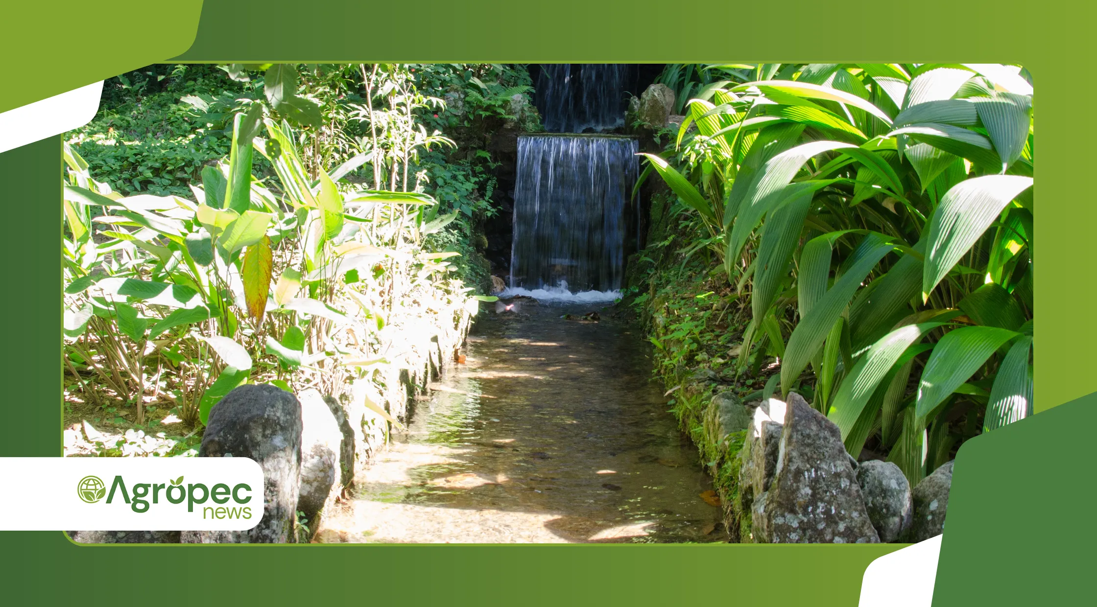  jardim sensorial com plantas que estimulam os sentidos