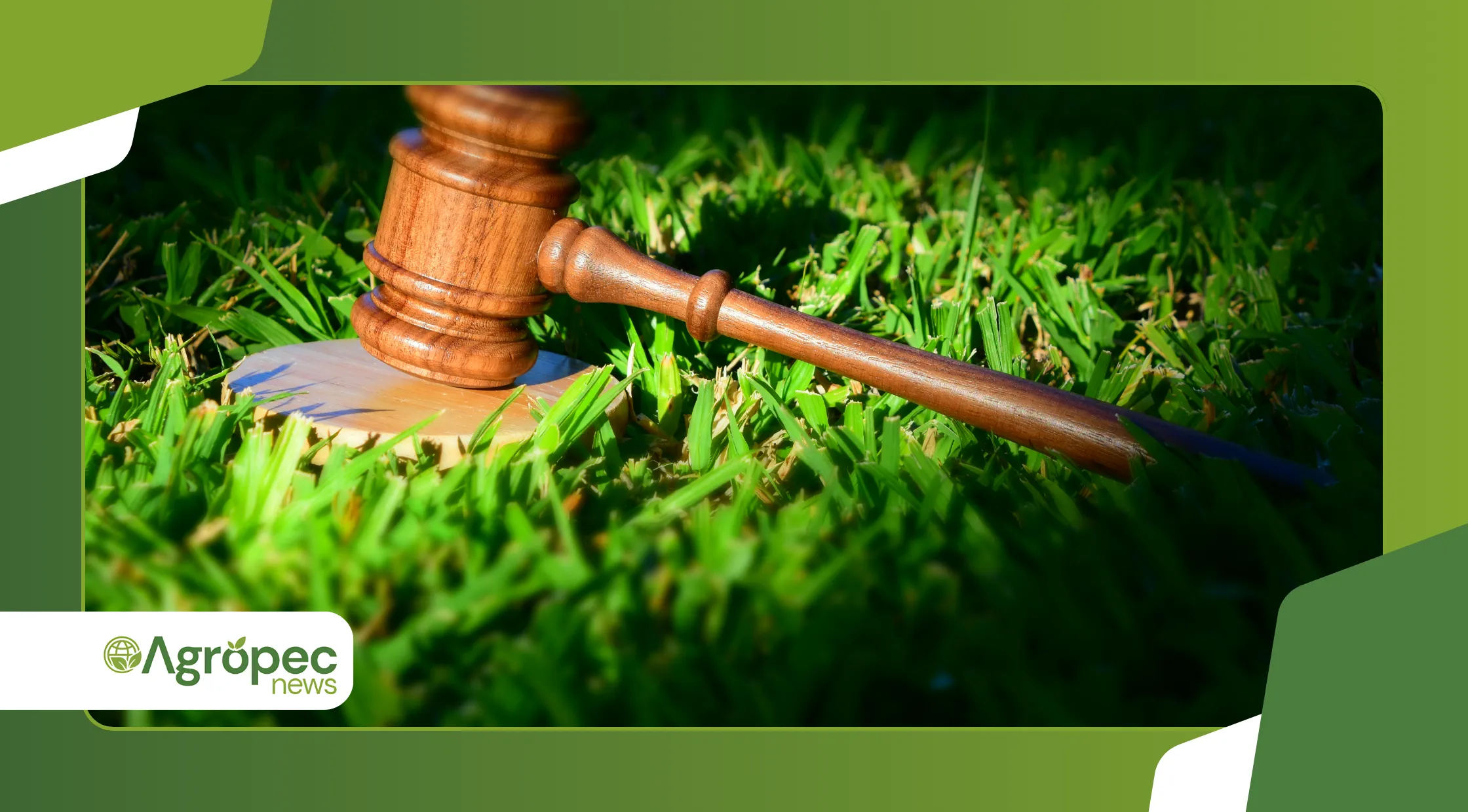 Impactos da nova legislação ambiental no agro brasileiro