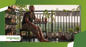 Agricultura orgânica em varandas: como cultivar com produtividade em pouco espaço