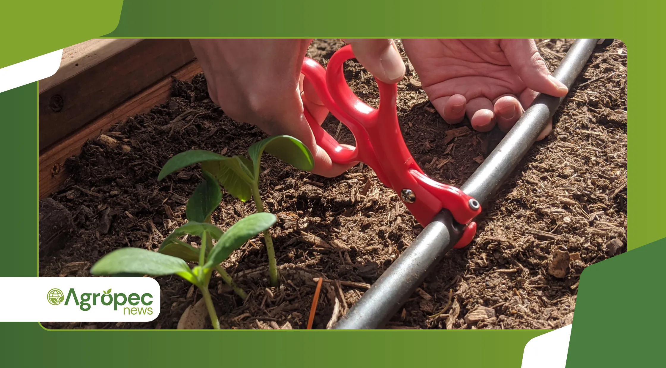  horta inteligente com irrigação automatizada