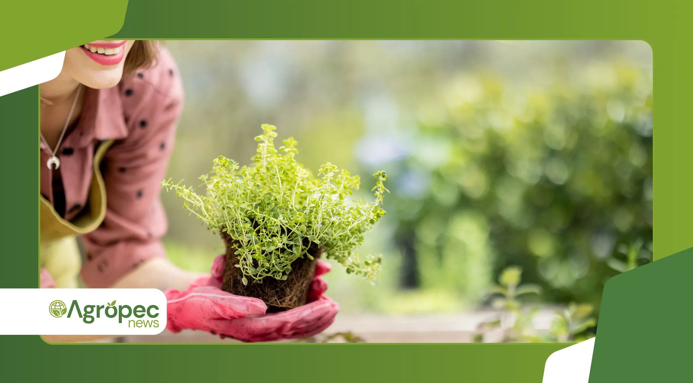  horta inteligente com irrigação automatizada