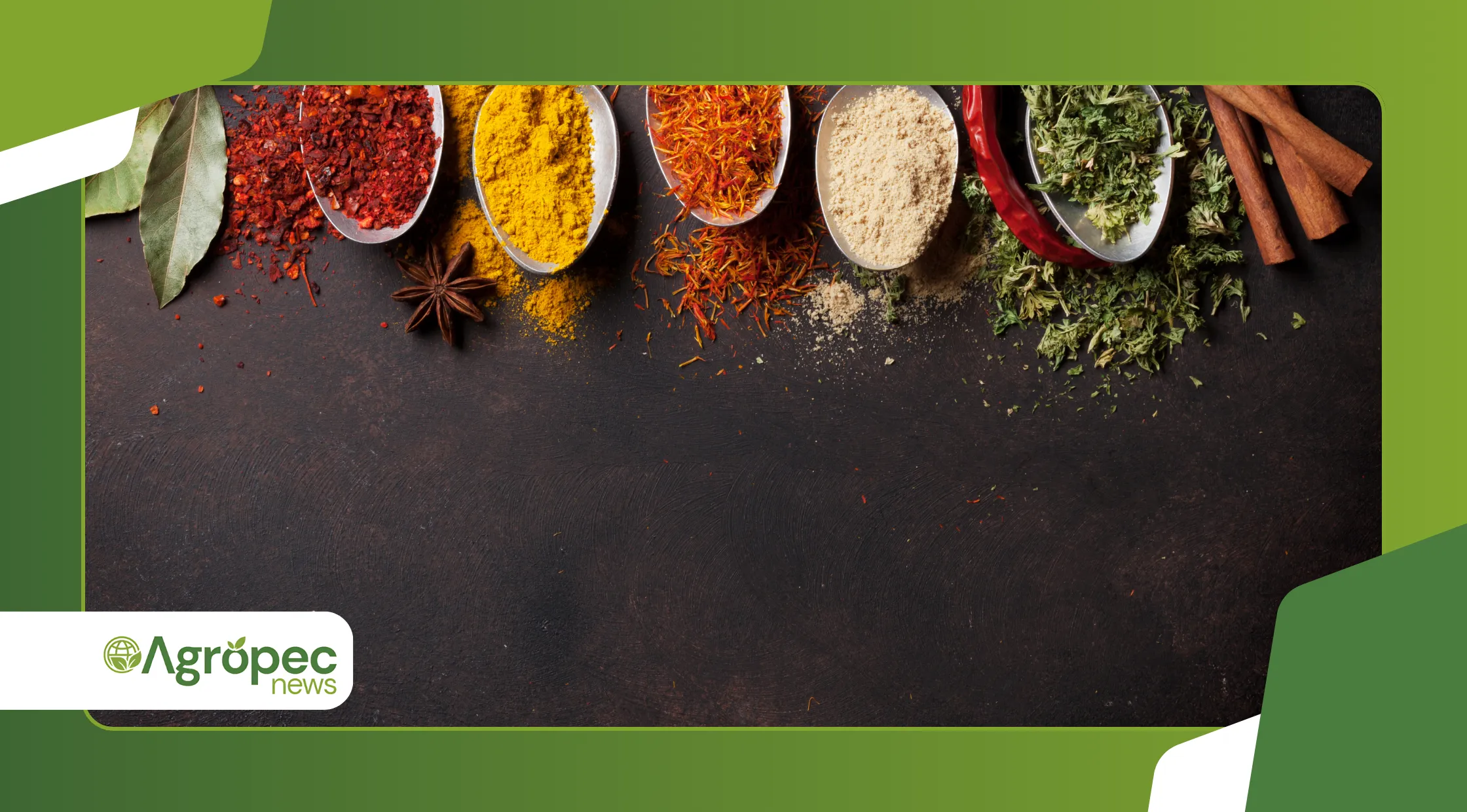 como plantar temperos em casa