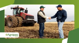 O papel das cooperativas na agricultura brasileira