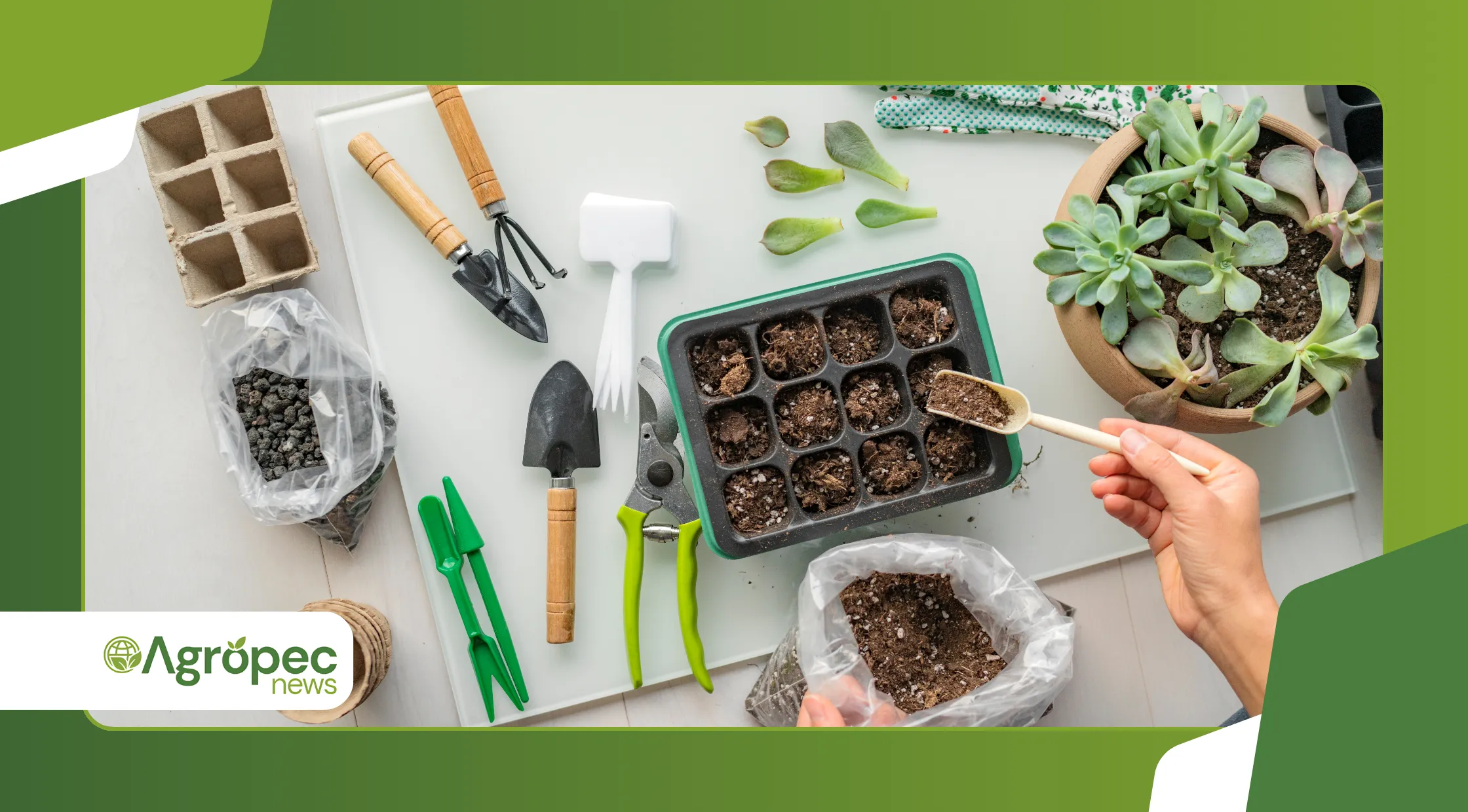 plantar vegetais de ciclo rápido em apartamentos