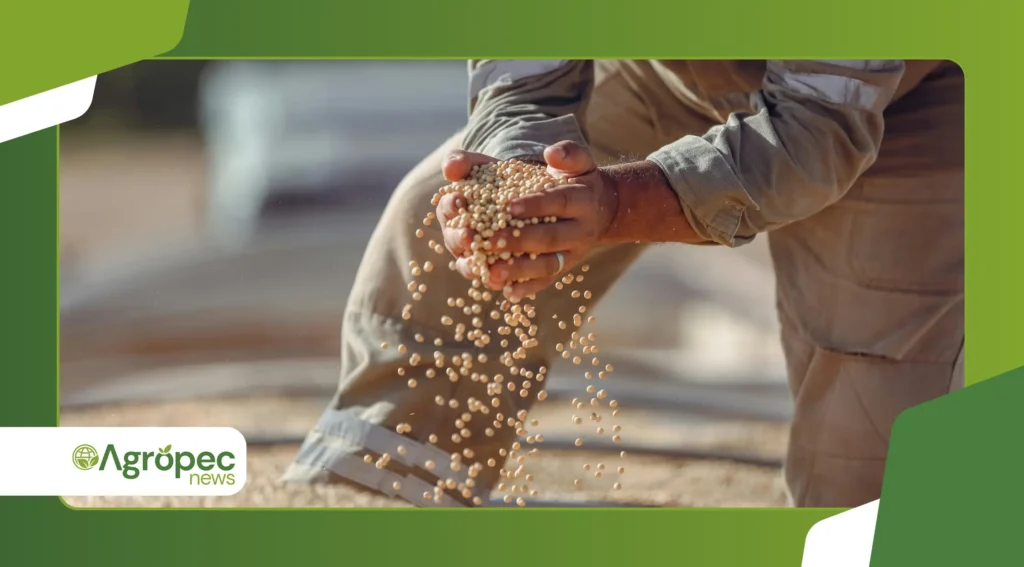 Brasil projeta safra recorde de grãos + proteínas 2025/26