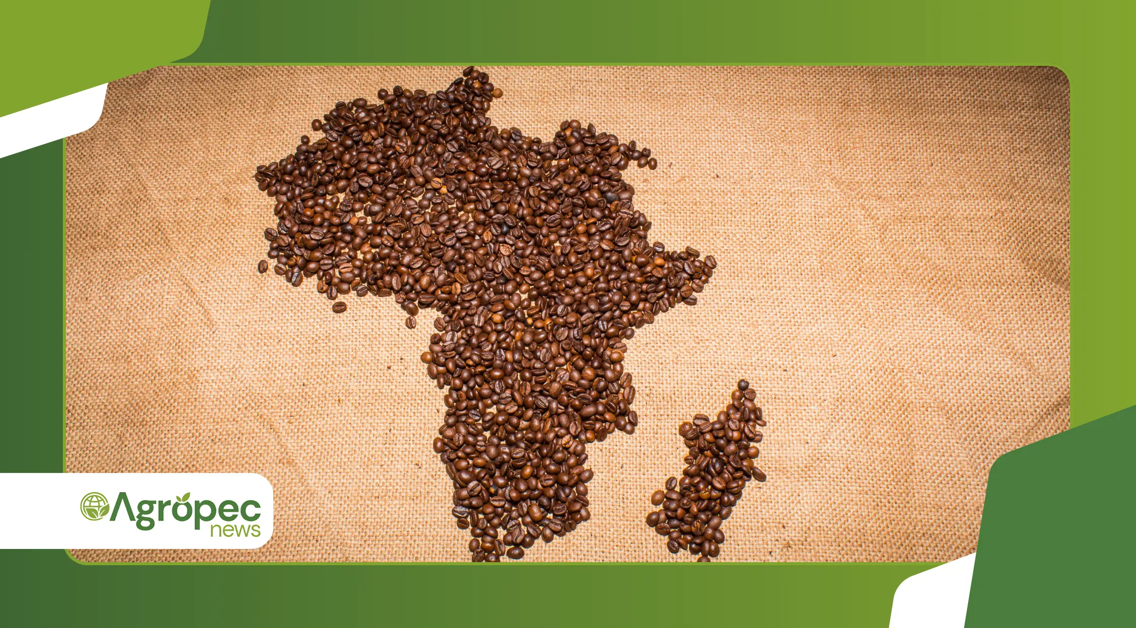 Brasil projeta safra recorde de grãos + proteínas 2025/26