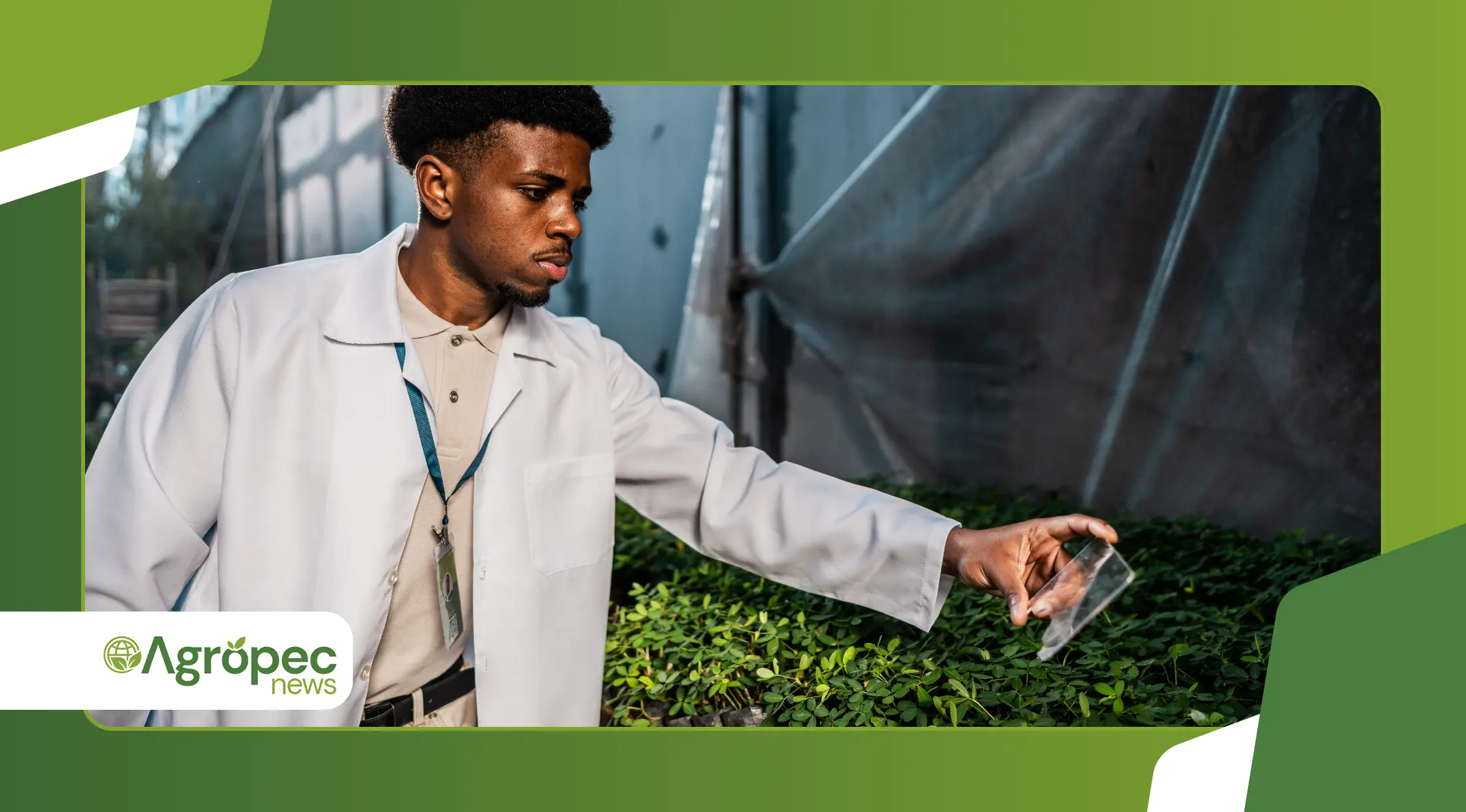 Política Nacional de Juventude