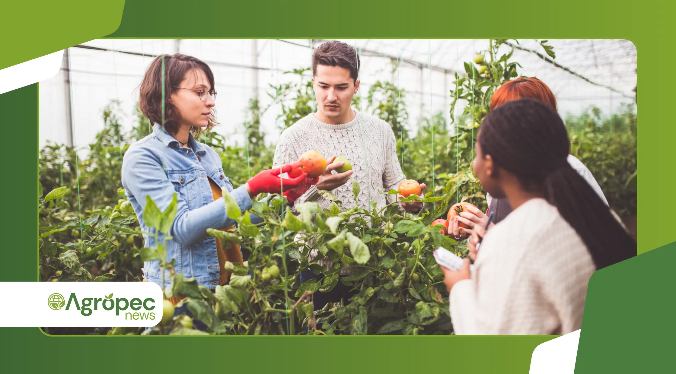 Política Nacional de Juventude