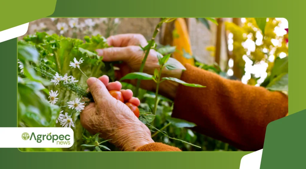 Tendências 2025-2026 na horta doméstica