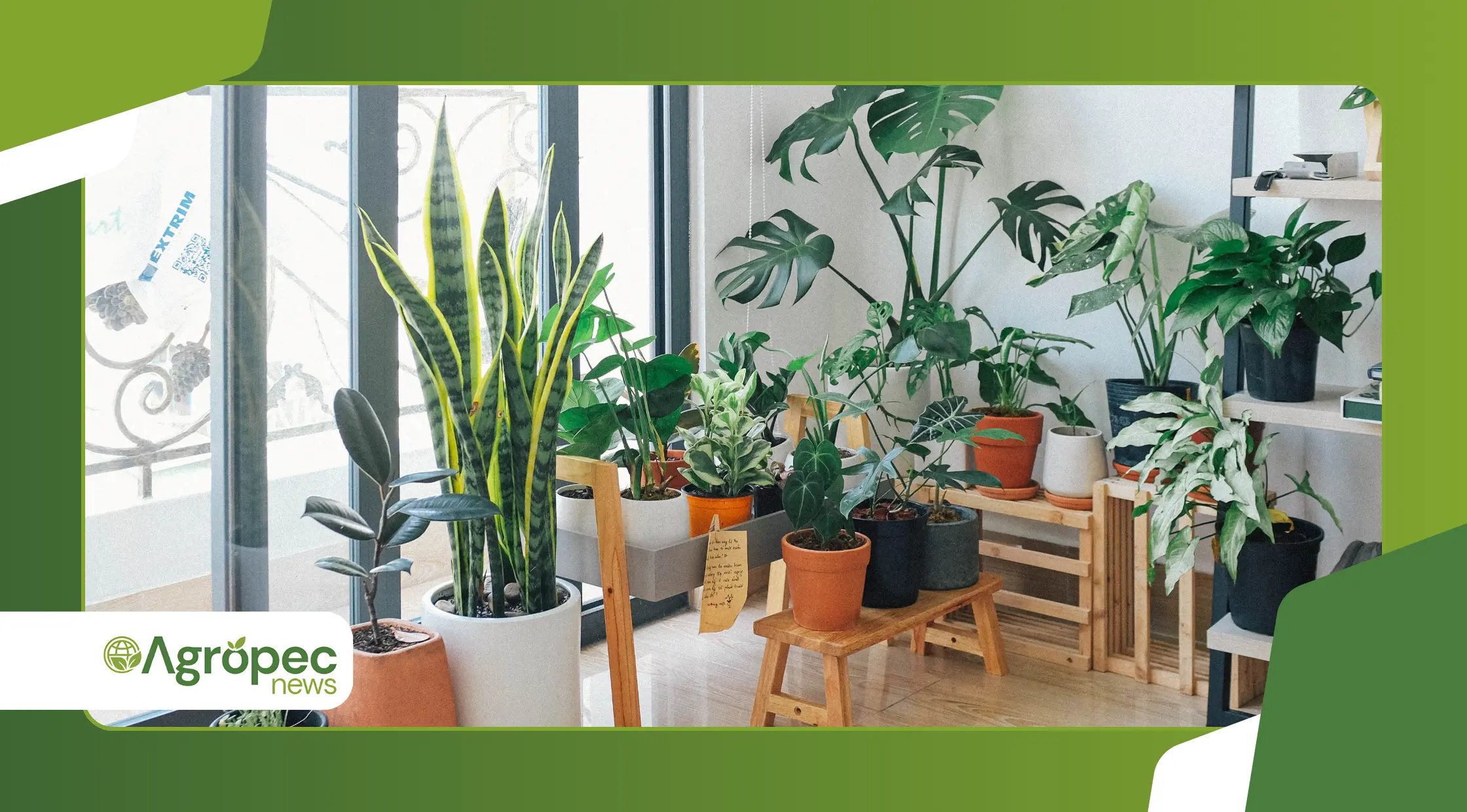 Tendências 2025-2026 na horta doméstica