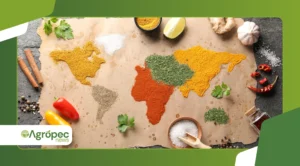 Mapeamento da produção orgânica no Brasil: quais estados lideram e quais culturas têm mais destaque