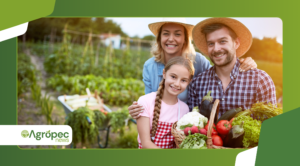 Experiências de sucesso de agricultores orgânicos no Brasil
