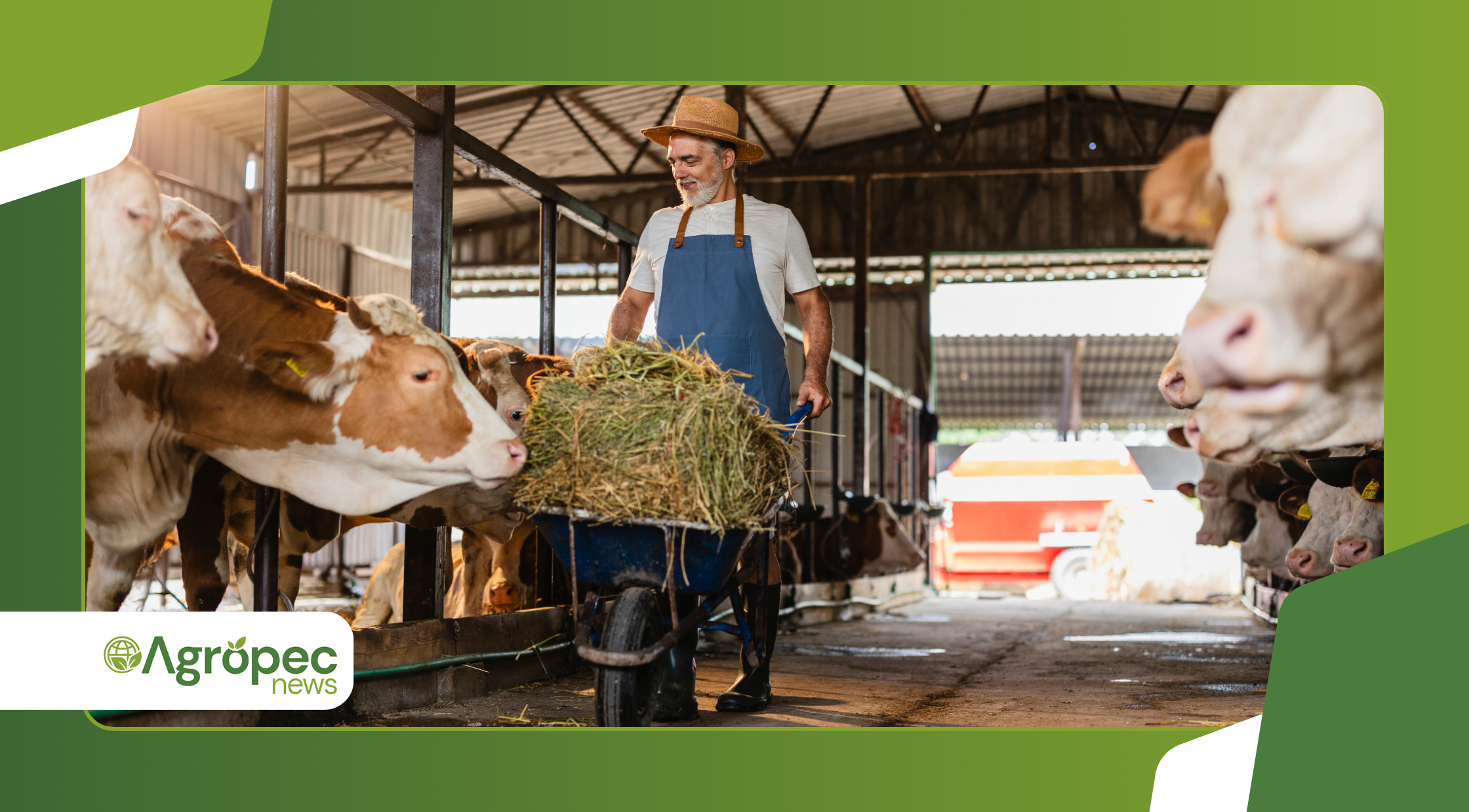 Experiências de sucesso de agricultores orgânicos