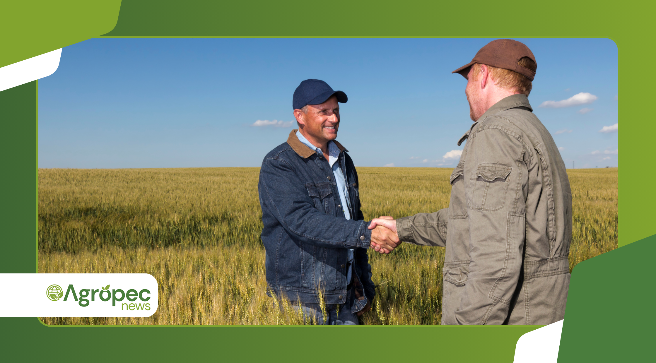 Experiências de sucesso de agricultores orgânicos