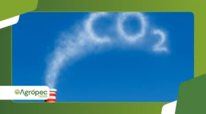 Como a agricultura pode contribuir para a redução da pegada de carbono