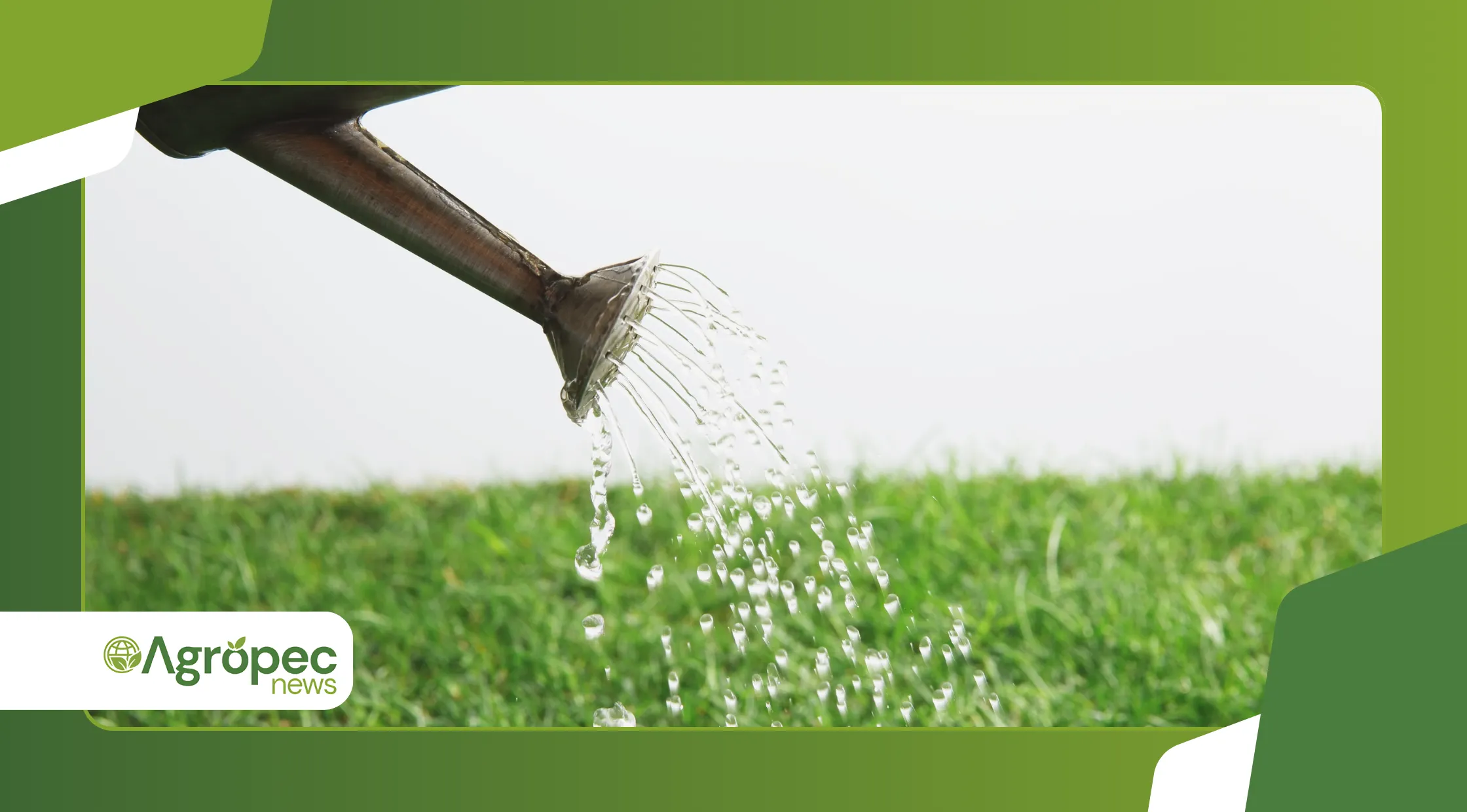 economizar água na irrigação da horta doméstica