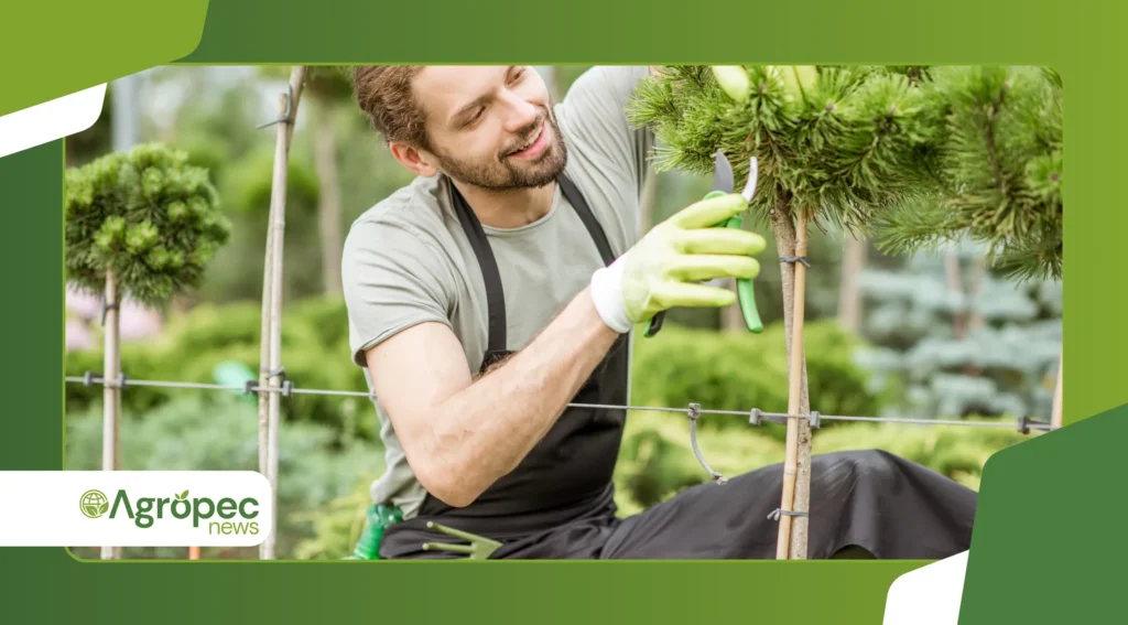 Guia de poda para plantas ornamentais