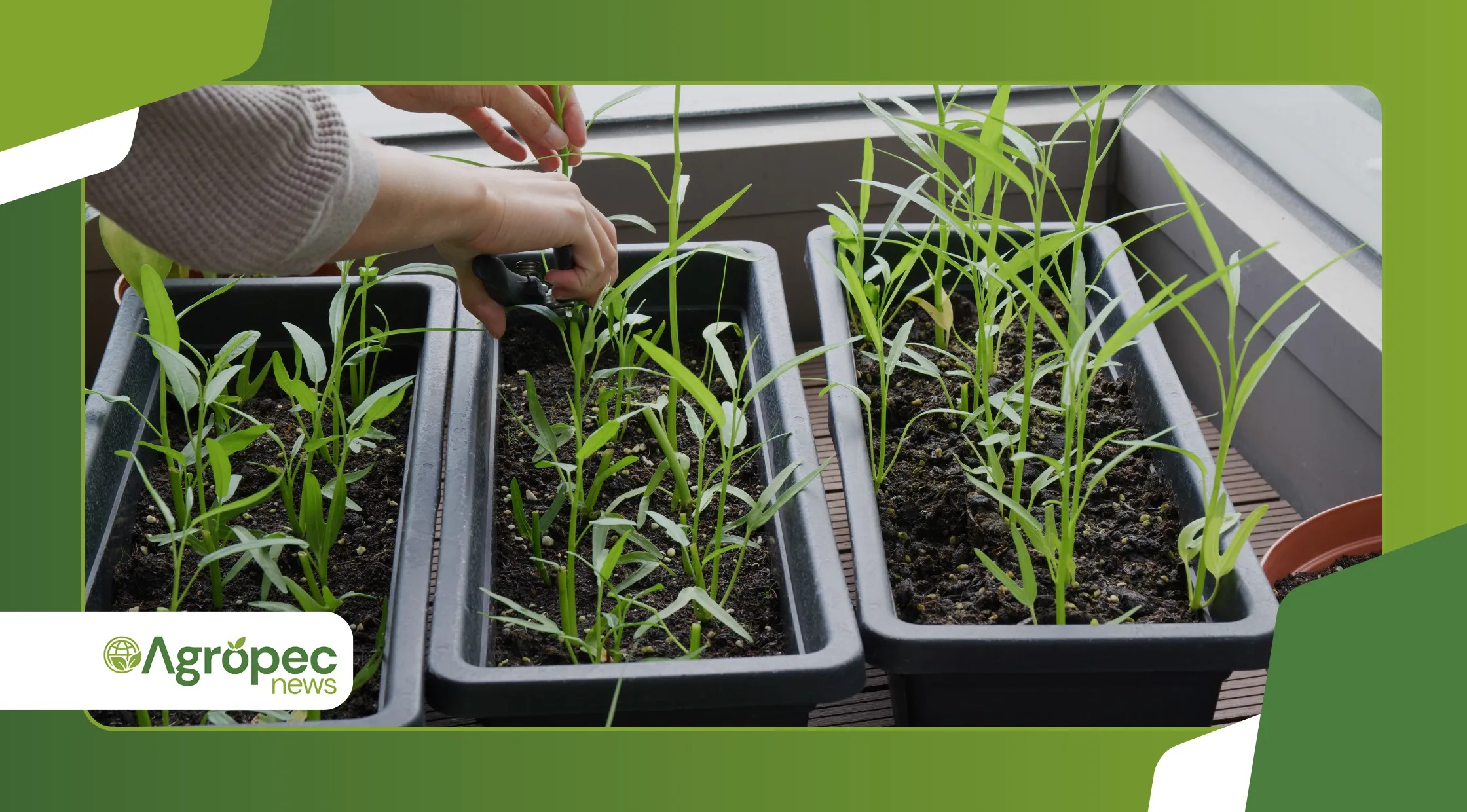 Presentes sustentáveis de fim de ano