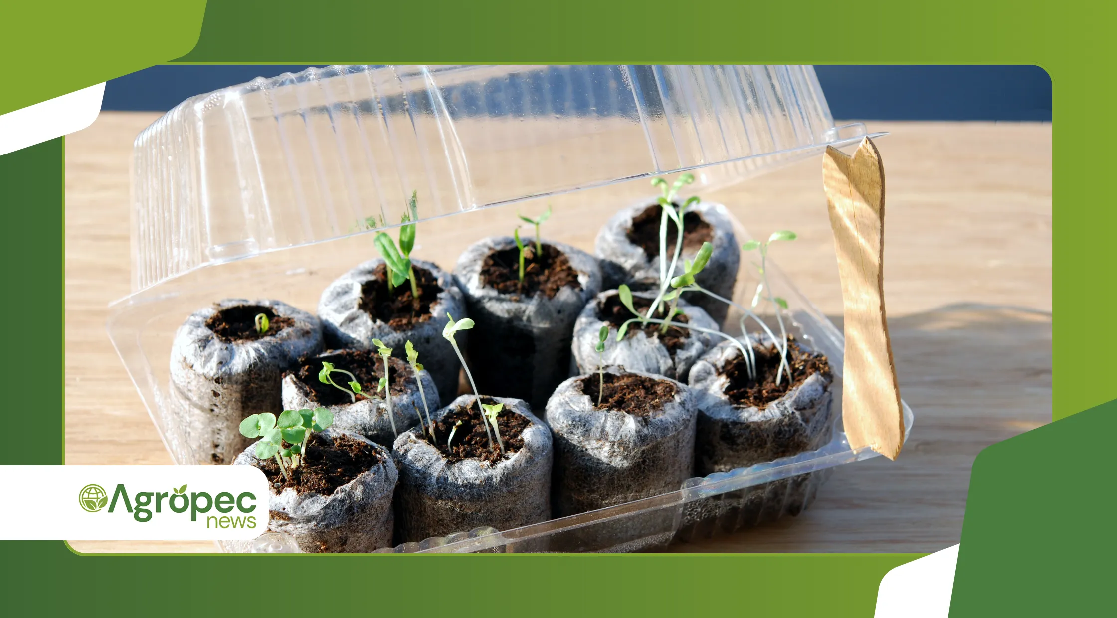 Presentes sustentáveis de fim de ano