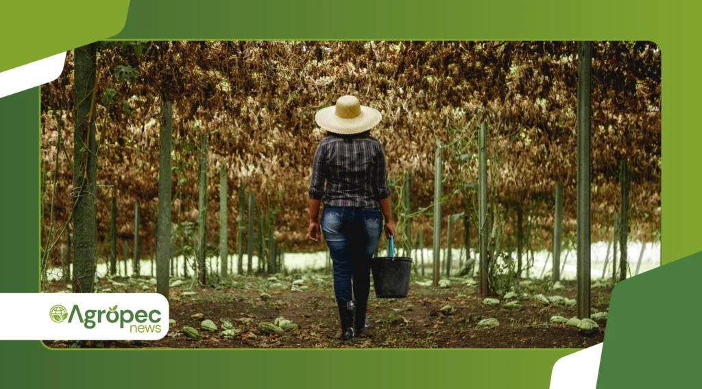 Seguro rural no Brasil