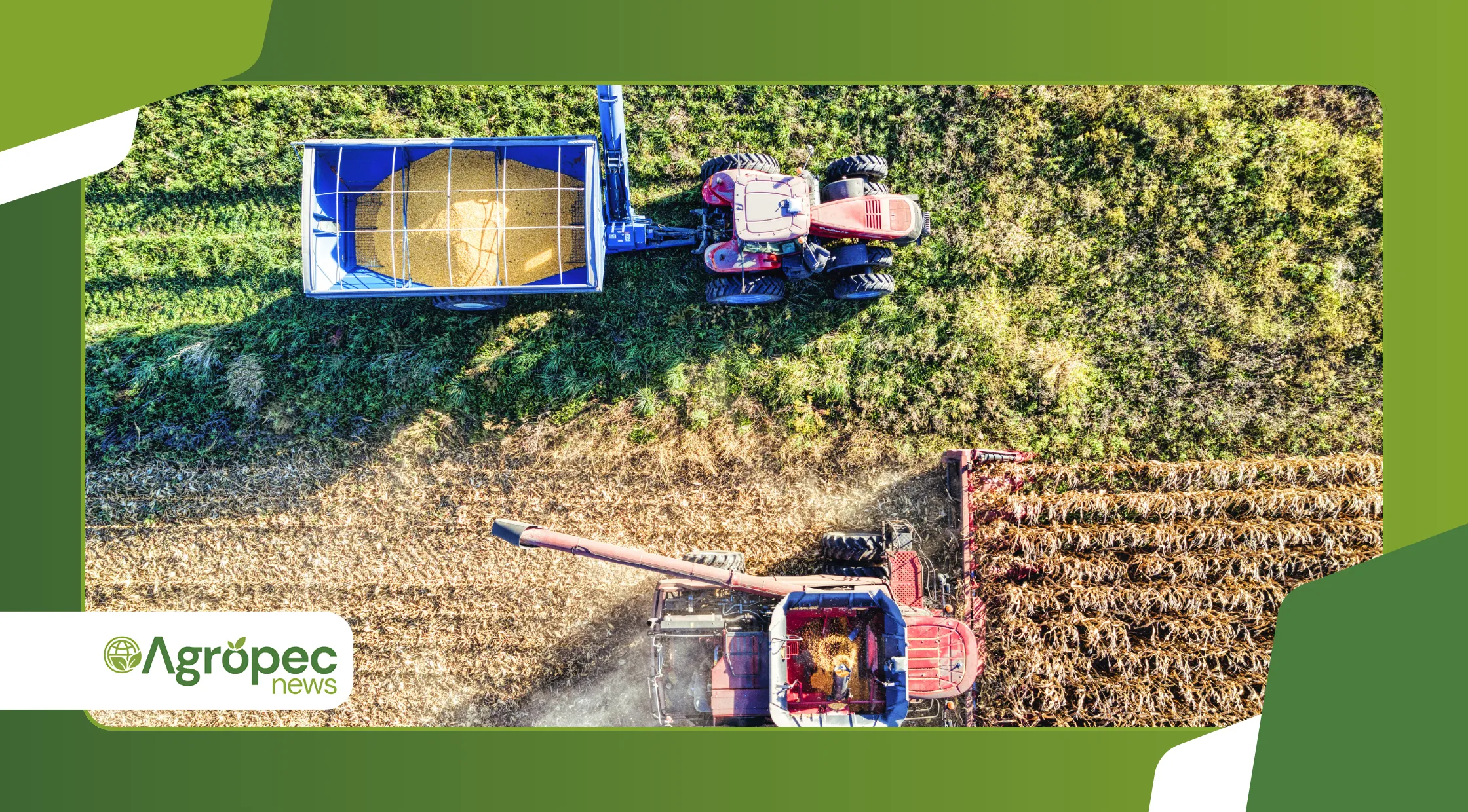 Como planejar a colheita e a comercialização até dezembro