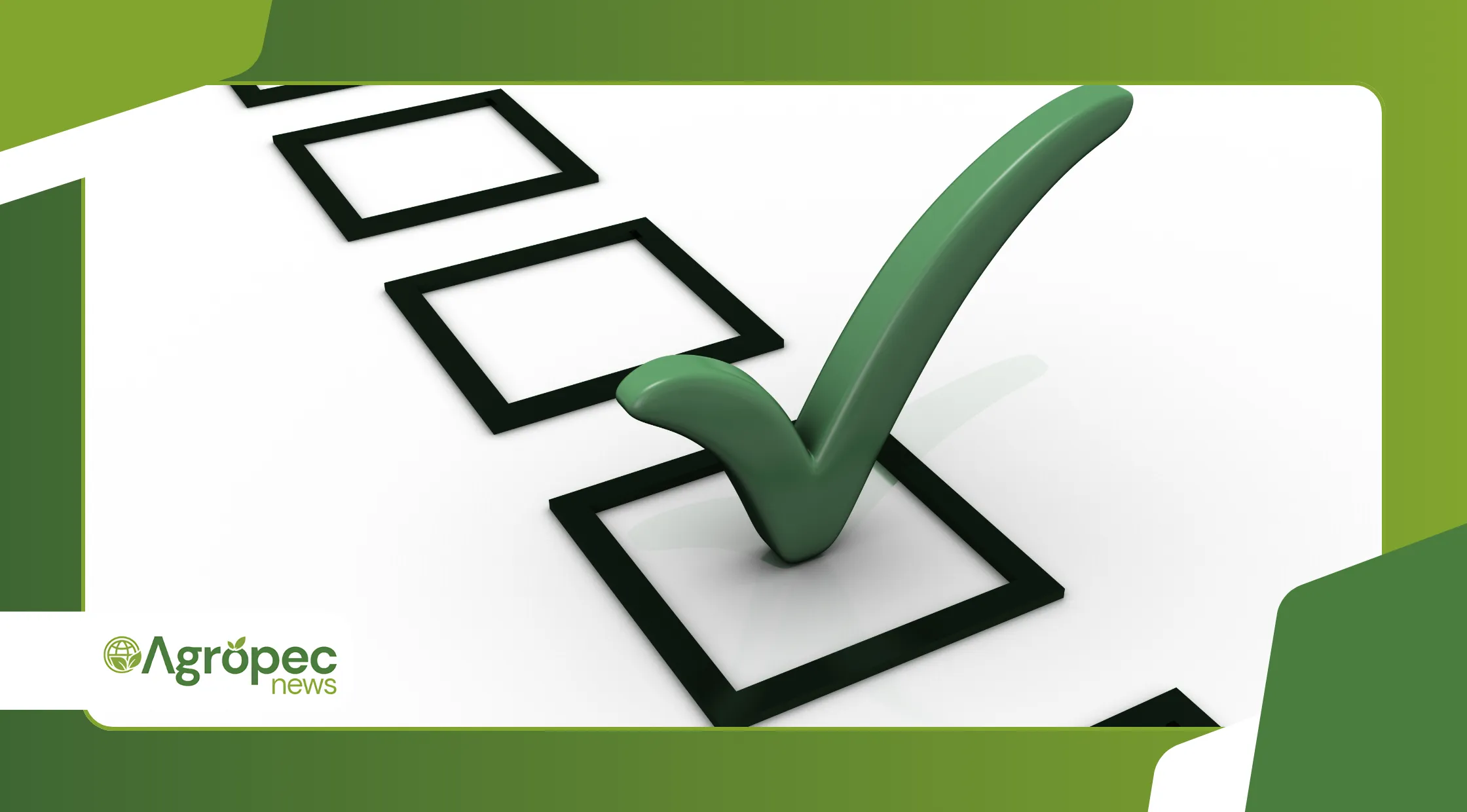 Como planejar a colheita e a comercialização até dezembro