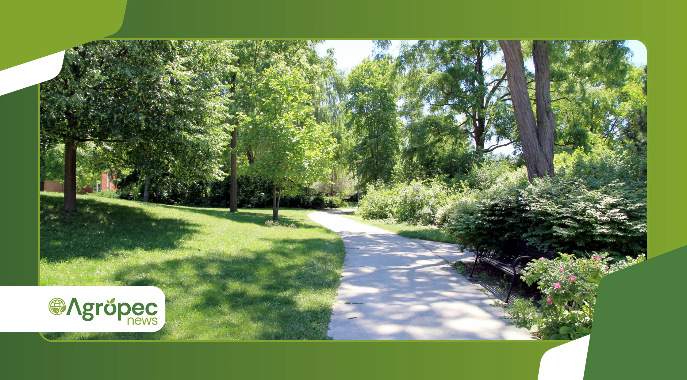 forrageamento urbano